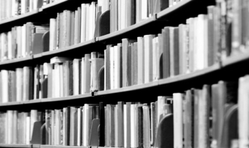 Il Guardiano e il Trust interposto 